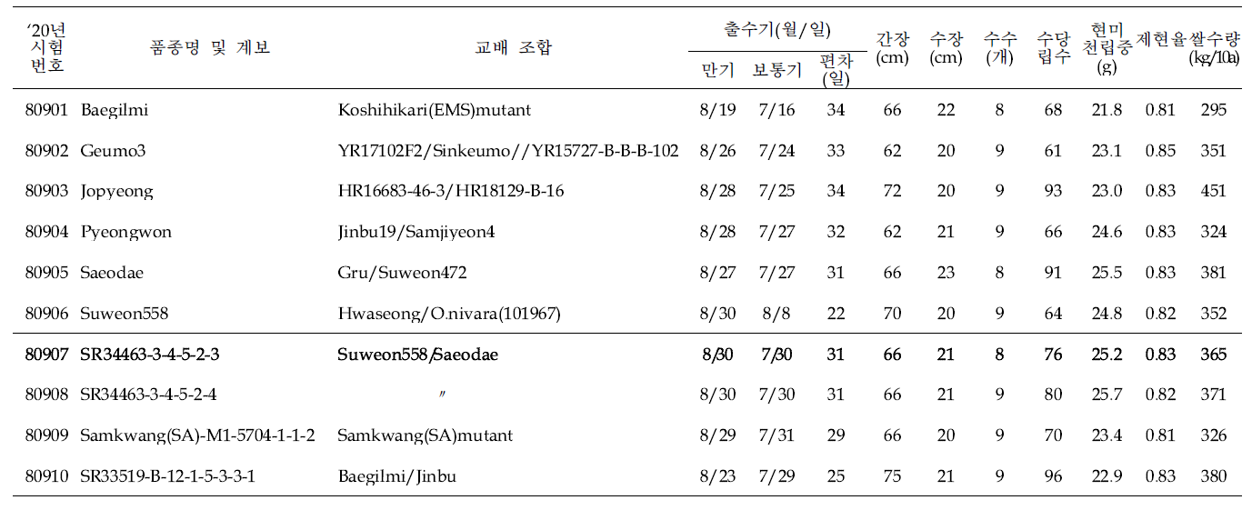 출수기·미질 변이 저감 육종소재 생산력(만기 PYT) 시험 결과요약 (5본식, 2반복, 100주 수확평가)