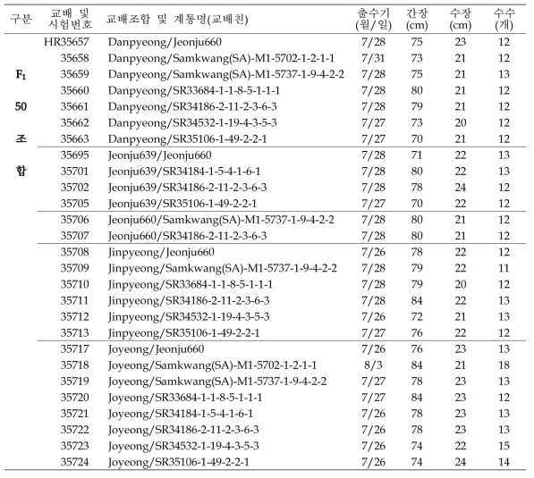 출수기·미질 변이 저감 벼 육종소재 개발 위한 F1 계통 공시 및 선발내역