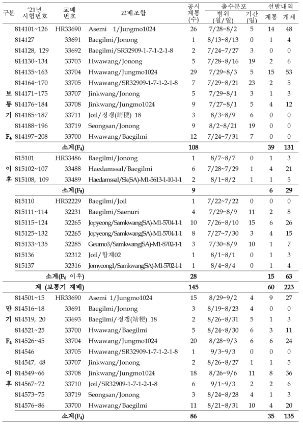 출수기·미질 변이 저감 벼 육종소재 개발 위한 F4 이후 계통 공시 및 선발내역