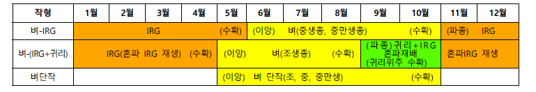 벼-IRG 2·3모작 작부체계 모식도