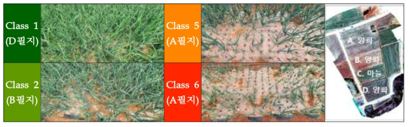 2021년 4월 27일 스트레스 분류에 따른 작물 상태(실증포장의 마늘 및 양파)