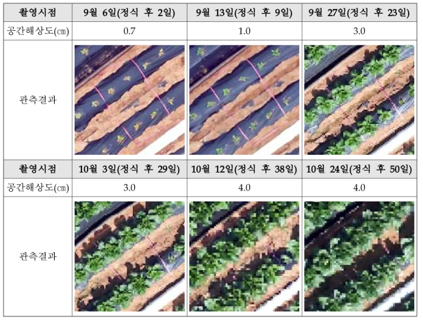 채소 관측을 위한 생육단계별 최소 공간해상도 결정