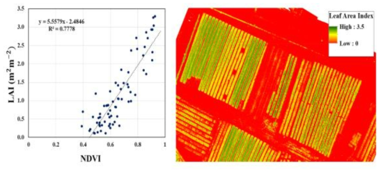 양파/마늘의 LAI와 NDVI 회귀분석 결과(좌) 및 LAI 공간분포도(우)