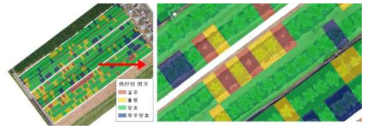 가을배추 생산성 평가 지도