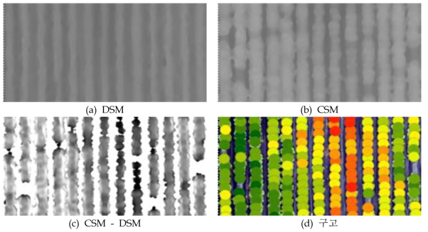 DSM과 CSM를 이용한 작물 구고 추출 과정