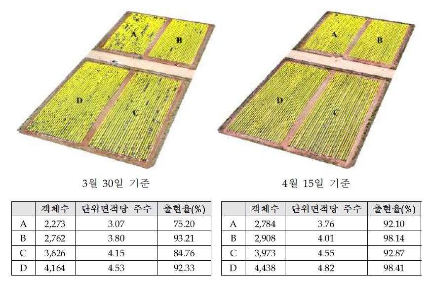 포장출현 지도(봄배추)