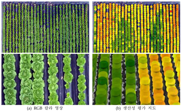 RGB 칼라 영상과 생산성 평가 지도 비교