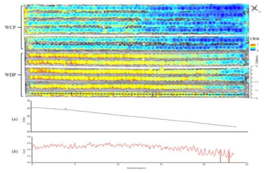 열적외 영상 기반 CWSI 분포도 및 DSM(a), CWSI(b) 공간변이