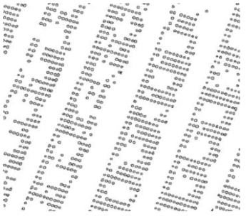 작목 객체 추출 맵(crop mask map)