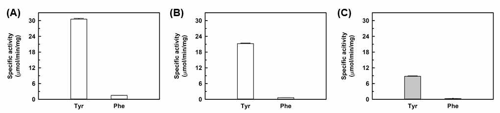 티로신 탈탄산효소의 효소활성측정방법에 따른 비효소활성 비교. (A) 100 mM NaOAc 완충용액(pH 5.5)을 이용한 반응액의 HPLC 분석 결과, (B) 2.5 mM MES 완충용액 (pH 5.5)을 이용한 반응액의 HPLC 분석 결과, (C) 2.5 mM MES 완충용액(pH 5.5)을 이용한 반응액의 pH indicator assay 결과