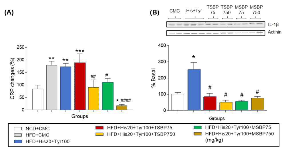 비만동물모델에서 바이오제닉아민 복합 경구투여 및 재래식, 공장식 된장추출물 투여에 의한 혈장 CRP 레벨(A) 및 간조직 IL-1β 발현 변화. *p<0.05, vs. HFD+CMC. #p<0.05, ##p<0.01, ####p<0.0001 vs. HFD+His20+Tyr100. Data are shown as mean ± SEM