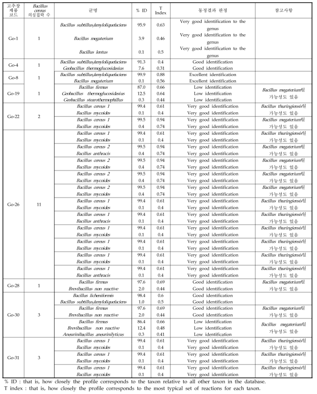 고추장 제품의 Bacillus 동정 결과