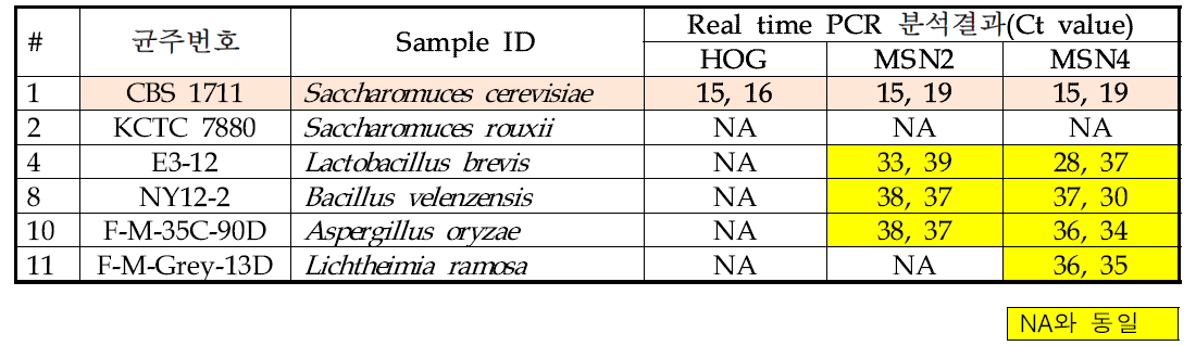 gDNA 시료의 RT-PCR 분석결과