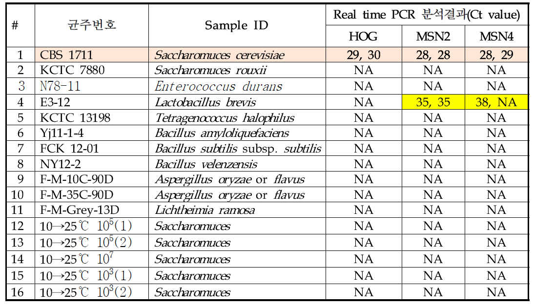 Total RNA 시료의 RT-PCR 분석결과