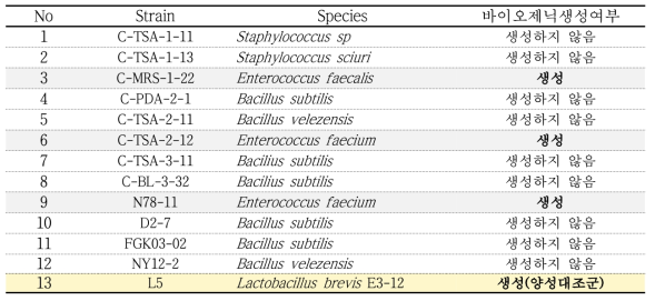 분리균주에 의한 바이오제닉아민 생성 정성평가 결과