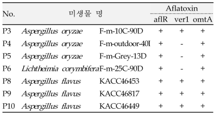 곰팡이 7주의 아플라톡신 독소 유전자 검출 유무