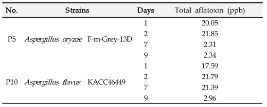 A. oryzae 및 A. flavus 발효콩의 총 아플라톡신 함량