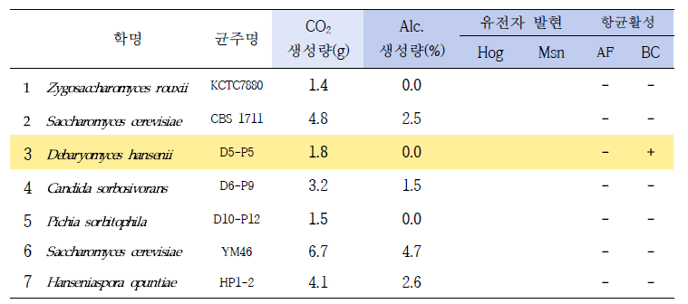 효모균주의 가스 및 알코올 생성 결과