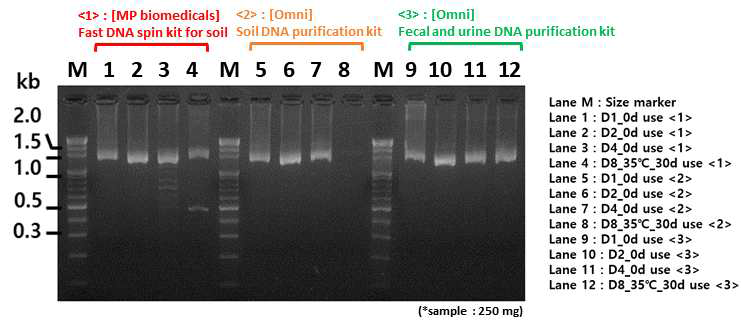 메타지놈 분리 키트로 회수한 메타지놈을 이용한 16r rRNA PCR 결과