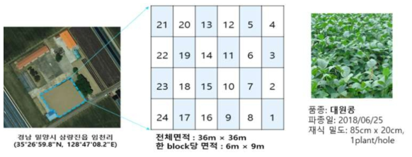 실험포장 설계 및 파종 정보 (2018년)