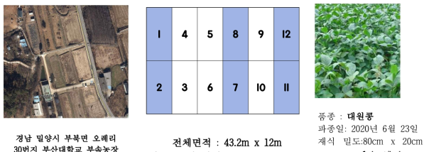 실험포장 설계 및 파종 정보 (2020년)