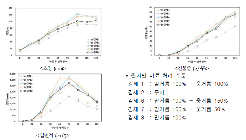 질소비료 처리구별 벼 생육조사 결과 비교