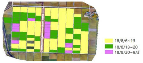 벼 식생지수 기반 벼 생육기(출수기) 추정 분포 지도