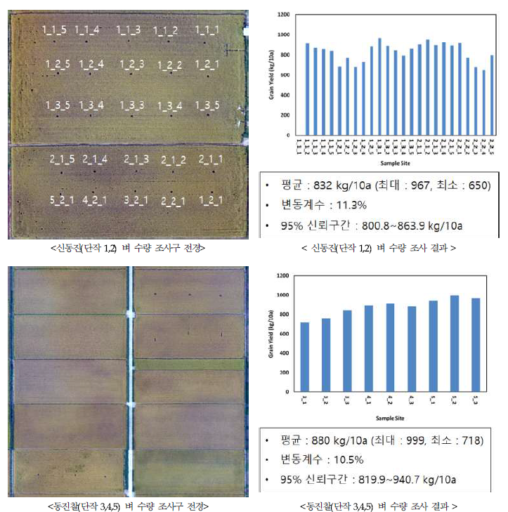 시험포장의 벼 수량 분포(2018년)