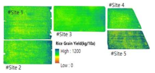2021년 실증포장의 무인비행체 영상 기반 벼 수량 분포 추정 지도