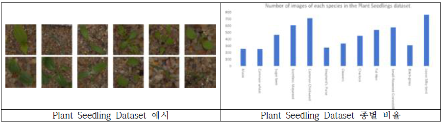 Plant Seedling 데이터셋