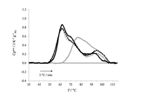 DSC thermograms for the various rice flours (70% moisture, scan rate 2°C/min). Carnaroli (dashed black line), Geumgang1 (solid black line), Irumi (dashed grey line), Dodamssal (solid grey line)