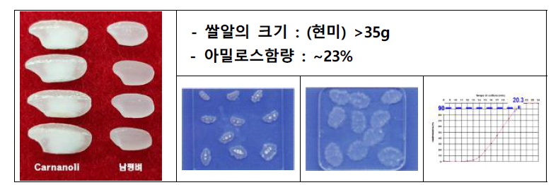 국내육성 품종 및 이탈리아 리조또 품종의 쌀알 크기 및 호화 모습