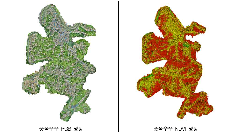 영상처리 결과