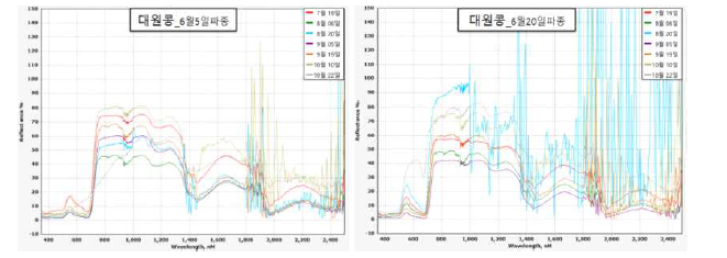 콩 생육단계별 분광특성