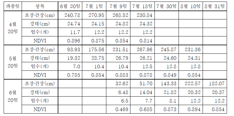 풋옥수수 생육조사