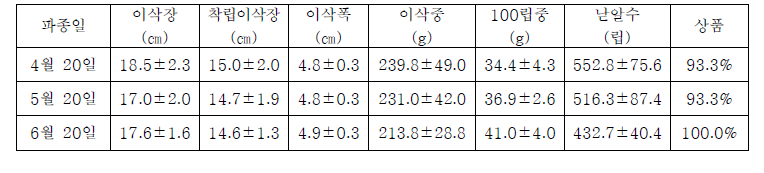 풋옥수수 이삭조사