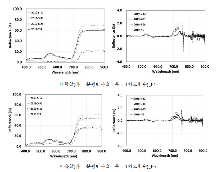 옥수수 품종별 분광반사특성 및 1차도함수 분석 결과