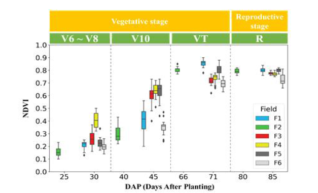 옥수수 성장에 따른 NDVI 변화 특성