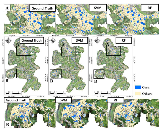 SVM과 RF 알고리즘을 활용한 옥수수재배지 분류 결과