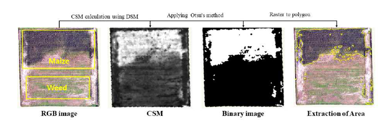 Otsu’s method를 활용한 옥수수 식생면적 추정 과정