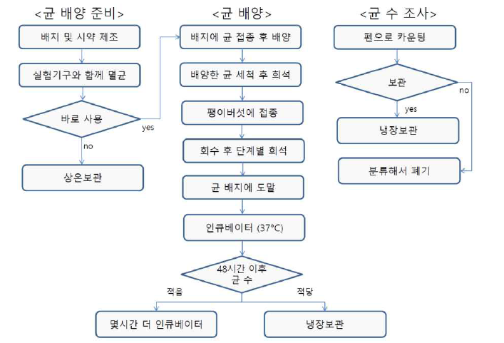 리스테리아 미생물 실험 순서도