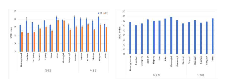 개화시기 고온스트레스에 따른 품종별 SPAD 값 및 SPAD Index 반응