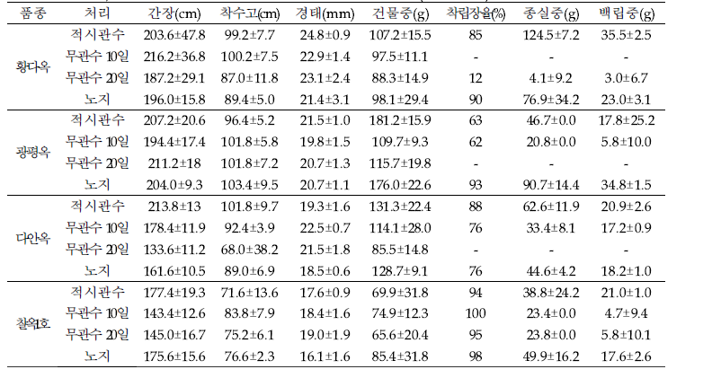 고온, 한발 처리에 따른 옥수수 품종별 생육 비교(유리온실)