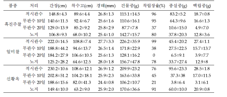 고온, 한발 처리에 따른 옥수수 품종별 생육 비교(비닐하우스)