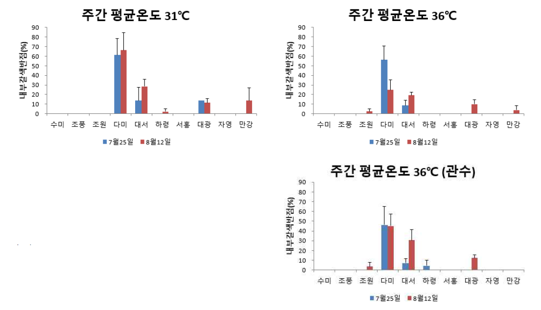 감자 품종별 괴경내부갈색반점 발생차이