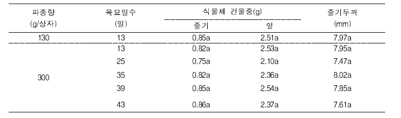 파종량 및 육묘기간에 따른 이앙 후 포장 식물체 건물중, 줄기두께 변화