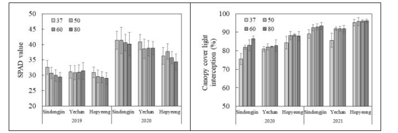 재식밀도에 따른 품종별 SPAD값(‘19-’20) 및 군락피복도(‘20-’21) 변화