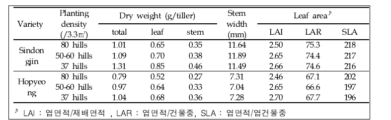 재식밀도 및 품종에 따른 분얼당 건물중, 줄기두께 및 엽면적 관련 지표 변화(‘19)