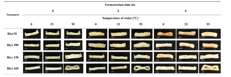 Appearance of gluten free rice bread with different fermentation time, water temperature, and amount of water