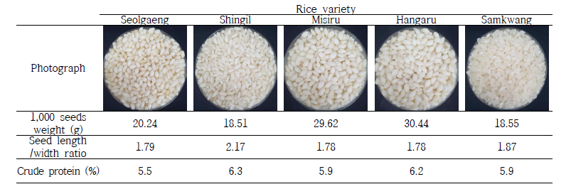 주요 쌀 품종별 완전립 천립중, 장폭비, 조단백 함량